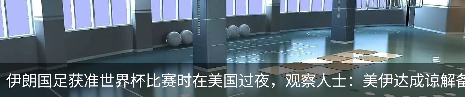 新闻动态